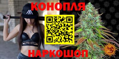 шишки Бузулук