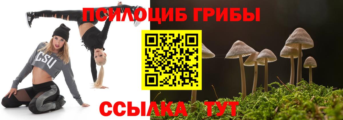 Псилоцибиновые грибы Psilocybine cubensis  Галлюциногенные грибы GOLDEN TEACHER  Вологда  Вход с VPN 